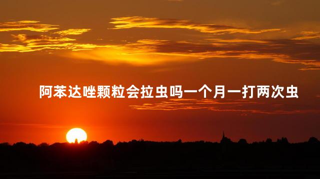 阿苯达唑颗粒会拉虫吗一个月一打两次虫可以吗