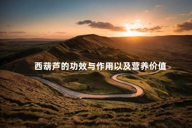 西葫芦的功效与作用以及营养价值 西葫芦的功效与作用以及营养价值