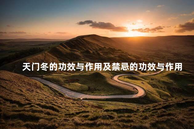 天门冬的功效与作用及禁忌的功效与作用 天门冬的功效与作用及禁忌的功效与作用