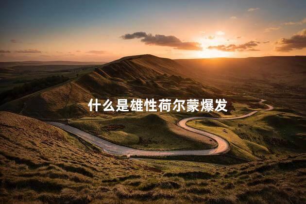 什么是雄性荷尔蒙爆发 什么是雄性荷尔蒙爆发