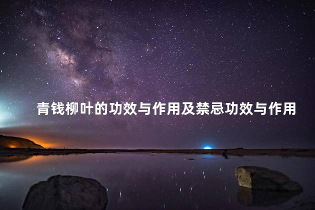 青钱柳叶的功效与作用及禁忌功效与作用 青钱柳叶的功效与作用及禁忌功效与作用