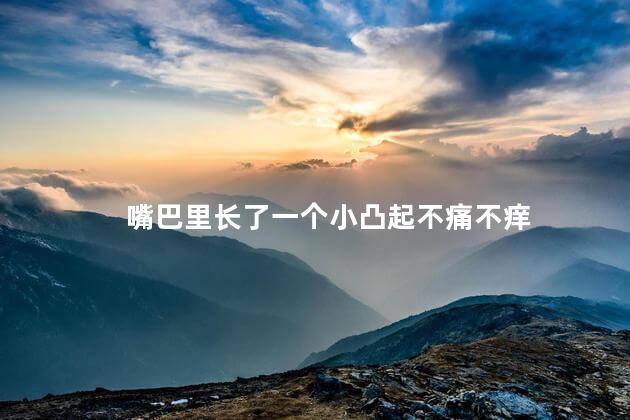嘴巴里长了一个小凸起不痛不痒 嘴巴里长了一个小凸起不痛不痒