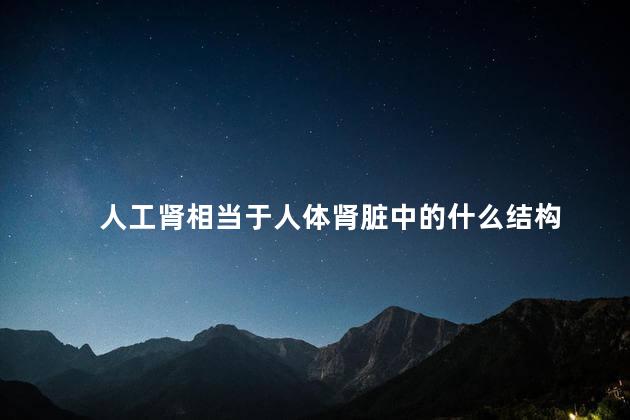 人工肾相当于人体肾脏中的什么结构 人工肾相当于人体肾脏中的什么结构