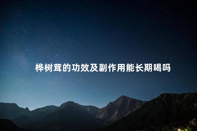 桦树茸的功效及副作用能长期喝吗