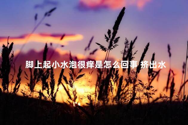 脚上起小水泡很痒是怎么回事 挤出水 脚上起小水泡很痒是怎么回事 挤出水