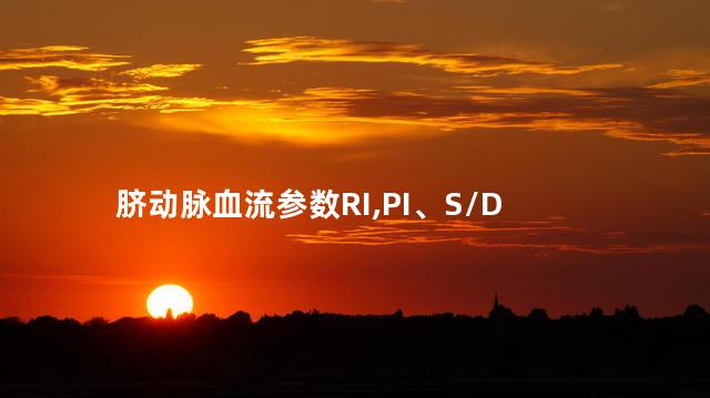 脐动脉血流参数RI,PI、S/D