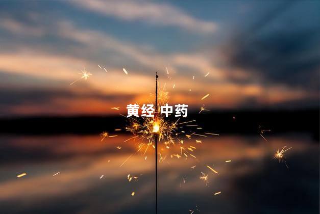 黄经 中药 黄经 中药