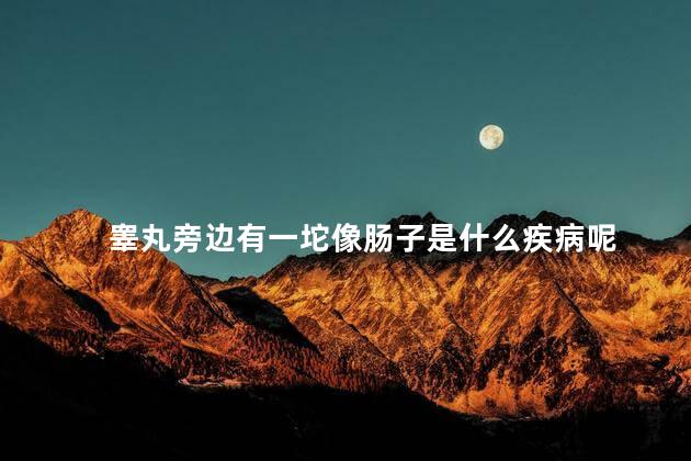 睾丸旁边有一坨像肠子是什么疾病呢