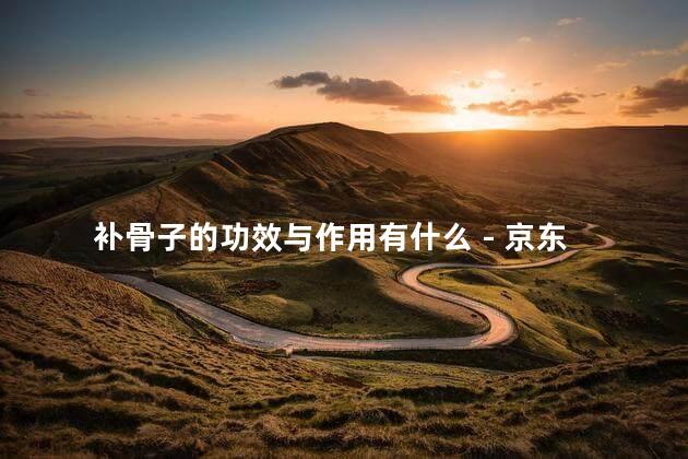 补骨子的功效与作用有什么 - 京东 补骨子的功效与作用有什么 - 京东