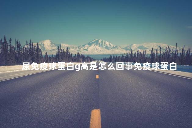 尿免疫球蛋白g高是怎么回事免疫球蛋白M偏低