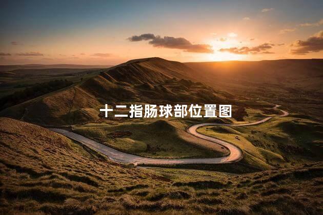 十二指肠球部位置图 十二指肠球部位置图