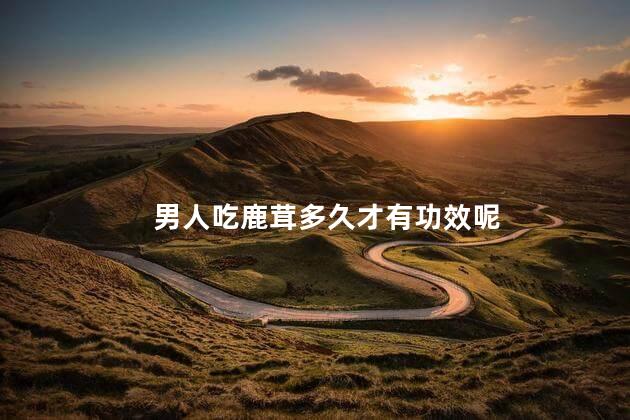 男人吃鹿茸多久才有功效呢 男人吃鹿茸多久才有功效呢