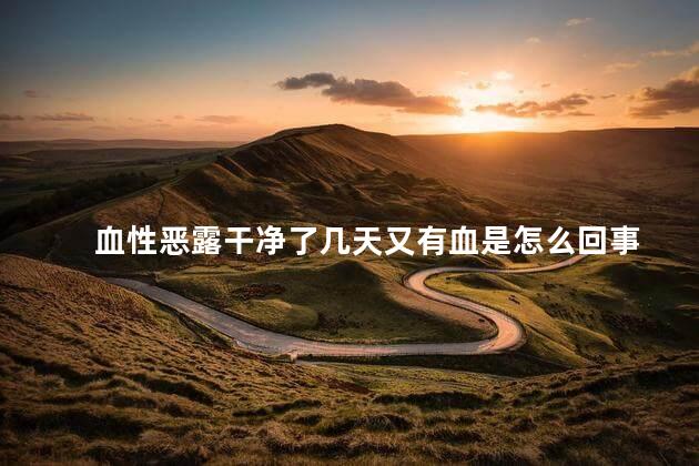 血性恶露干净了几天又有血是怎么回事