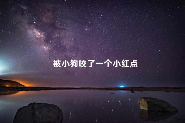 被小狗咬了一个小红点 被小狗咬了一个小红点