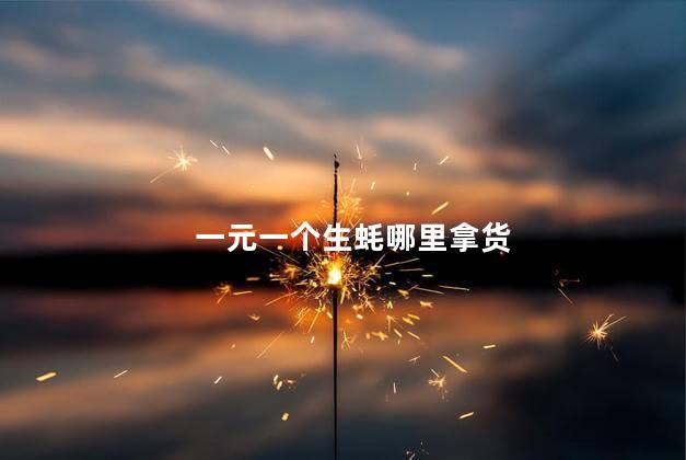 一元一个生蚝哪里拿货