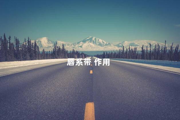 唇系带 作用 唇系带 作用