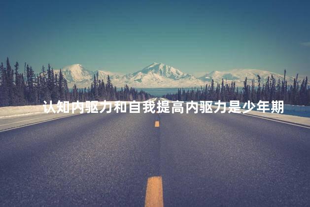 认知内驱力和自我提高内驱力是少年期 认知内驱力和自我提高内驱力是少年期