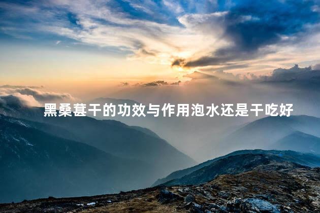 黑桑葚干的功效与作用泡水还是干吃好 黑桑葚干的功效与作用泡水还是干吃好
