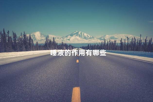 唾液的作用有哪些
