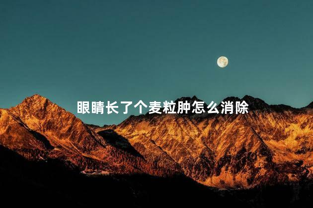 眼睛长了个麦粒肿怎么消除 眼睛长了个麦粒肿怎么消除