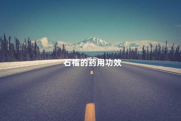 石榴的药用功效