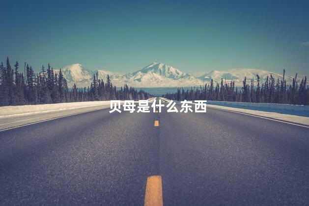 贝母是什么东西 贝母是什么东西