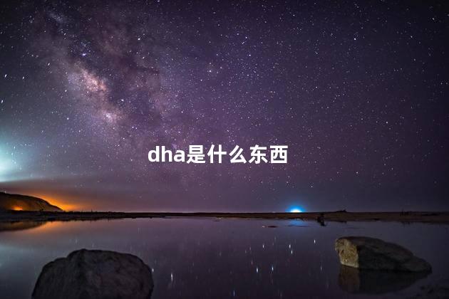 dha是什么东西