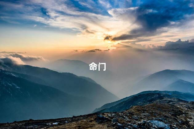 命门 命门