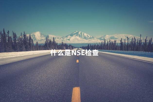 什么是NSE检查 什么是NSE检查