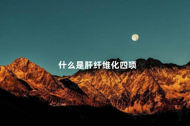 什么是肝纤维化四项