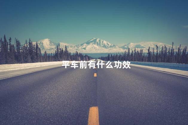 平车前有什么功效 平车前有什么功效