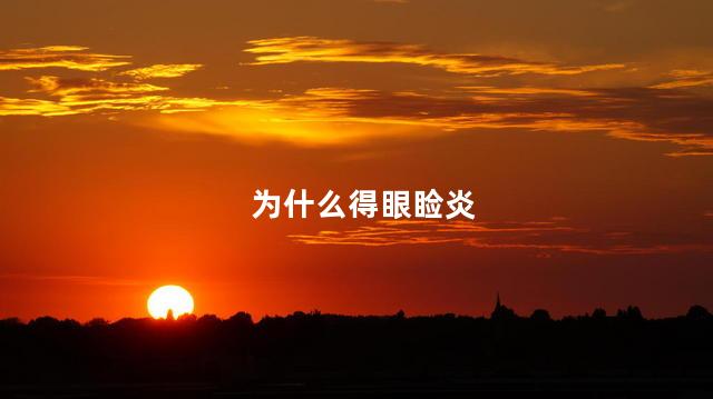 为什么得眼睑炎