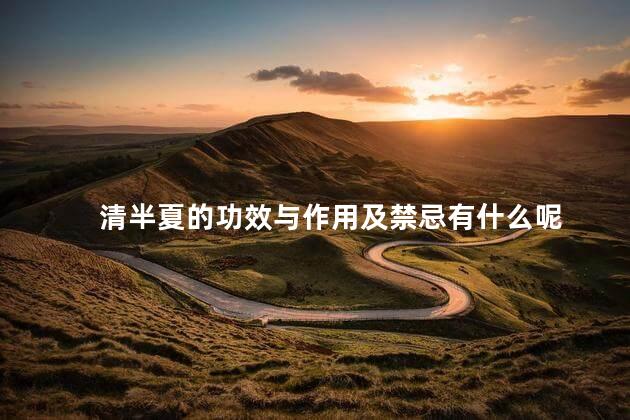 清半夏的功效与作用及禁忌有什么呢 清半夏的功效与作用及禁忌有什么呢