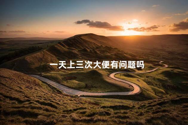一天上三次大便有问题吗