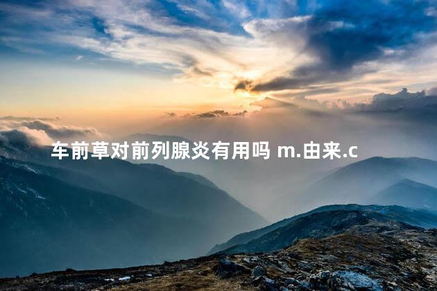 车前草对前列腺炎有用吗 m.由来.cn 车前草对前列腺炎有用吗 m.由来.cn