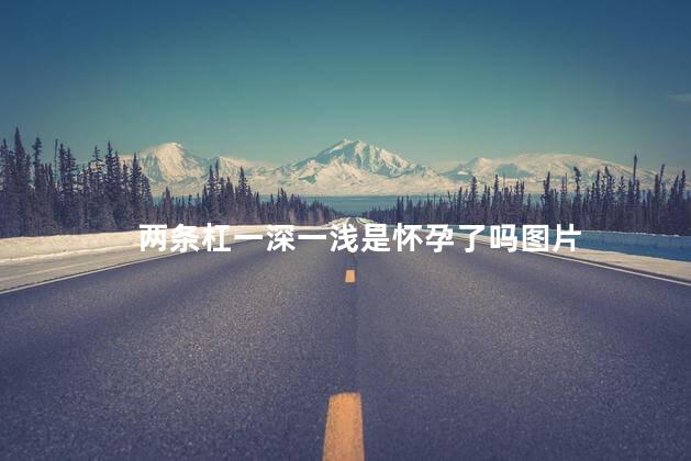 两条杠一深一浅是怀孕了吗图片 两条杠一深一浅是怀孕了吗图片