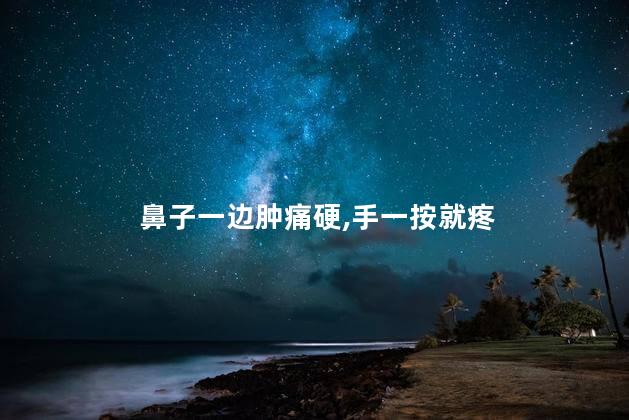 鼻子一边肿痛硬,手一按就疼 鼻子一边肿痛硬,手一按就疼