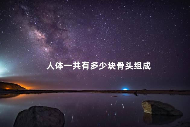 人体一共有多少块骨头组成 人体一共有多少块骨头组成