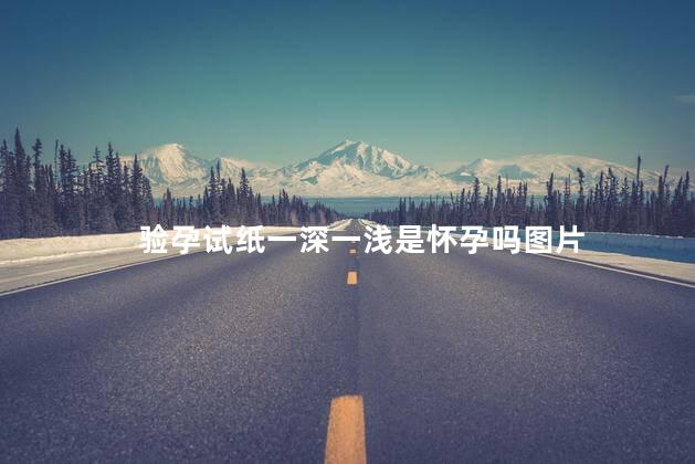 验孕试纸一深一浅是怀孕吗图片 验孕试纸一深一浅是怀孕吗图片
