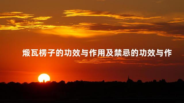 煅瓦楞子的功效与作用及禁忌的功效与作用 煅瓦楞子的功效与作用及禁忌的功效与作用
