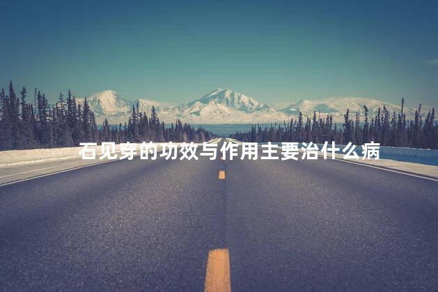 石见穿的功效与作用主要治什么病 石见穿的功效与作用主要治什么病