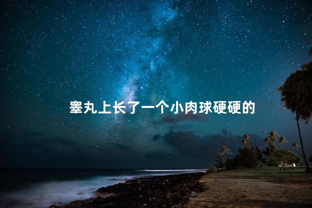 睾丸上长了一个小肉球硬硬的 睾丸上长了一个小肉球硬硬的
