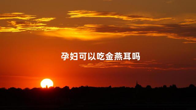 孕妇可以吃金燕耳吗 孕妇可以吃金燕耳吗