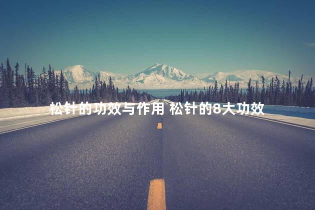 松针的功效与作用 松针的8大功效 松针的功效与作用 松针的8大功效
