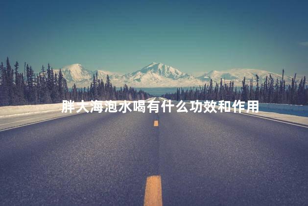 胖大海泡水喝有什么功效和作用 胖大海泡水喝有什么功效和作用