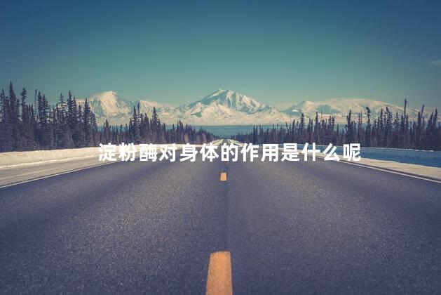 淀粉酶对身体的作用是什么呢 淀粉酶对身体的作用是什么呢
