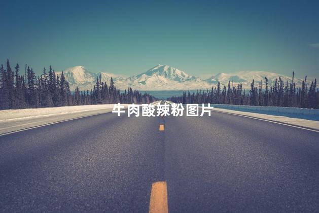 牛肉酸辣粉图片 牛肉酸辣粉图片