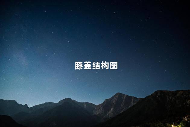 膝盖结构图 膝盖结构图