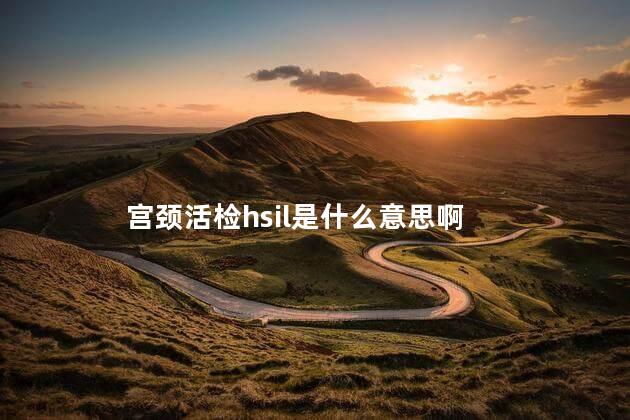 宫颈活检hsil是什么意思啊 宫颈活检hsil是什么意思啊