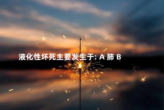 液化性坏死主要发生于: A 肺 B 肾 C 脑 D 心 E 脾 液化性坏死主要发生于: A 肺 B 肾 C 脑 D 心 E 脾